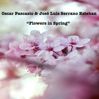Flowers in Spring cover